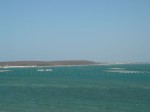 竹灣海上箱網養殖