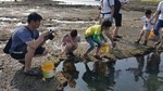 踏浪抓蝦去