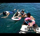 浮潛3